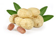 peanuts with leaves