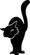 black cat