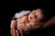 Little Angel