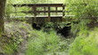 Small Pedestrian Bridge Over a Little Creek