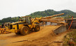 Logging Forklift Loading