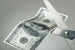 Scissors cutting a dollar bill in half