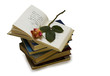 open book with a rose on it.