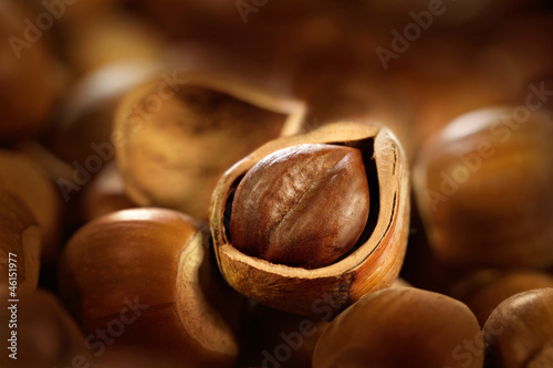 Photo: nocciola aperta nocciola aperta