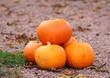 Pumpkins