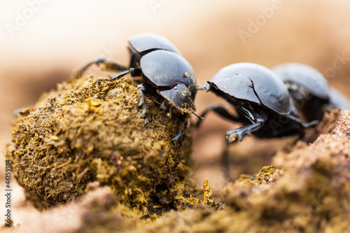 Photo: Competition Competition