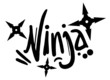 Ninja sign art