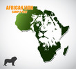 African lion - vector