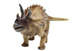 dinosaur