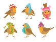 Winter Robins