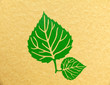 grafisches lindenblatt