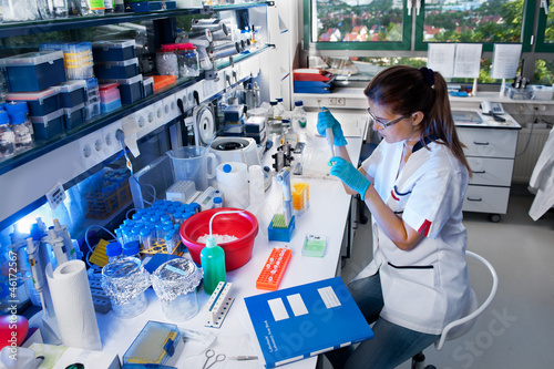 Photo: Scientist works in the lab Scientist works in the lab