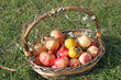 basket with fruit of autumn inside