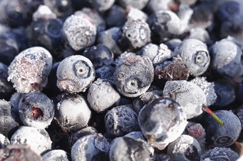 Photo: Frozen Bilberries Close-Up - HDR Image Frozen Bilberries Close-Up - HDR Image