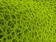 Limerick   perspective  pattern  power neurologie Background ''