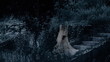 Horror scene of a scary woman