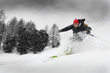 Freerider