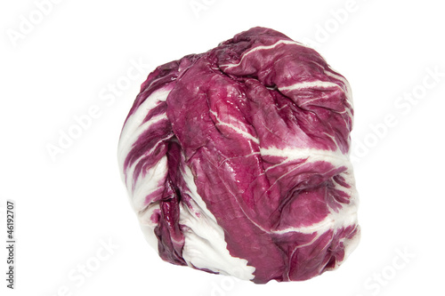 Photo: Radicchio freigestellt vor weißem Hintergrund Radicchio freigestellt vor weißem Hintergrund