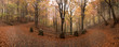 atmosphere and colors of autumn