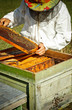 Photo: Beekeeper Beekeeper