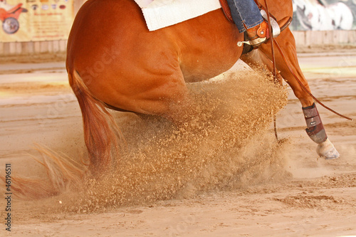 Photo: westernreiten westernreiten