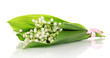 Bouquet of may-lilies isolated on white