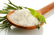 salt in spoon with fresh basil, thyme and rosemary isolated