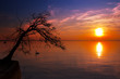 Sunset at the Lake - Garda Lake - Italy