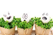 White eggs with funny faces on green bushes