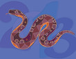 snake