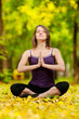Photo: Woman doing yoga exercises in the autumn park Woman doing yoga exercises in the autumn park