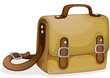 a brown bag