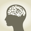 Brain5
