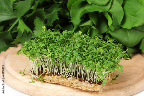 Photo: Fresh cress salad on wooden board Fresh cress salad on wooden board