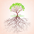 tree roots