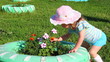 Video: little girl smelling yellow flower on bed little girl smelling yellow flower on bed