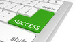 Success on green computer key