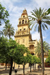 Mezquita - Corboba - Andaluasia - Spain