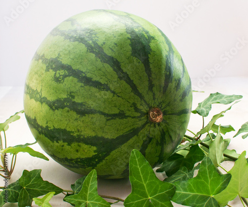Photo: Whole watermelon on light background Whole watermelon on light background