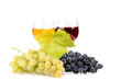 Branch of grapes and glass of wine