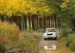 Adventure in the forest
