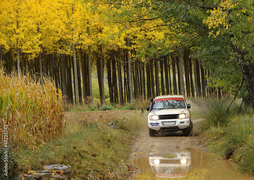 Photo: Adventure in the forest Adventure in the forest