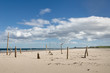Driftwood circle on beach