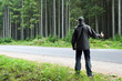 Photo: stopping stopping
