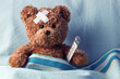 bear