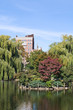 Photo: Boston Public Garden Boston Public Garden