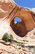 Bowtie Arch