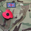 Poppy appeal remembrance day