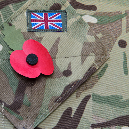 Photo: Poppy appeal remembrance day Poppy appeal remembrance day
