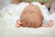Newborn baby